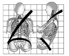 How to Wear Safety Belts Properly