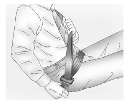 Lap-Shoulder Belt